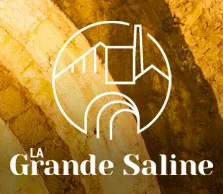 Logo la Grande Saline